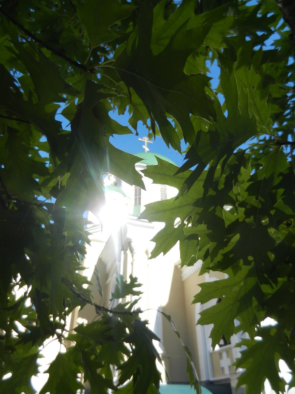 DSCN9871.JPG
