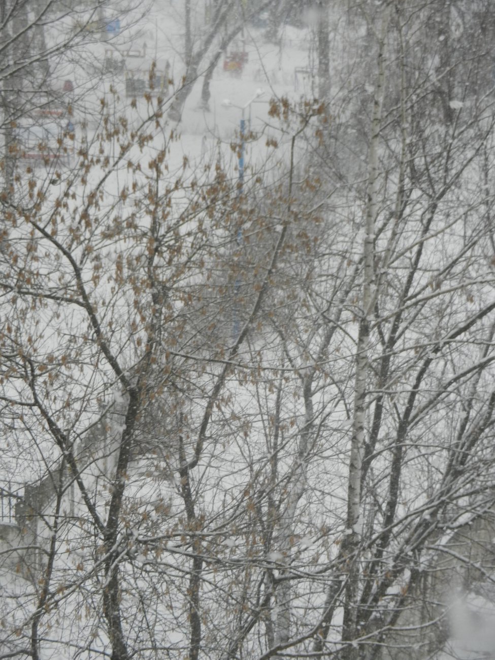 DSCN9875.JPG
