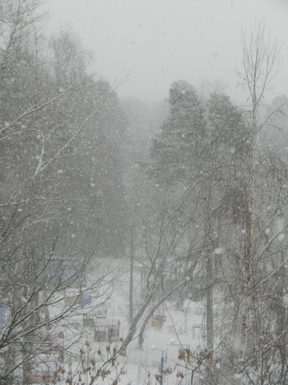 DSCN9876.JPG