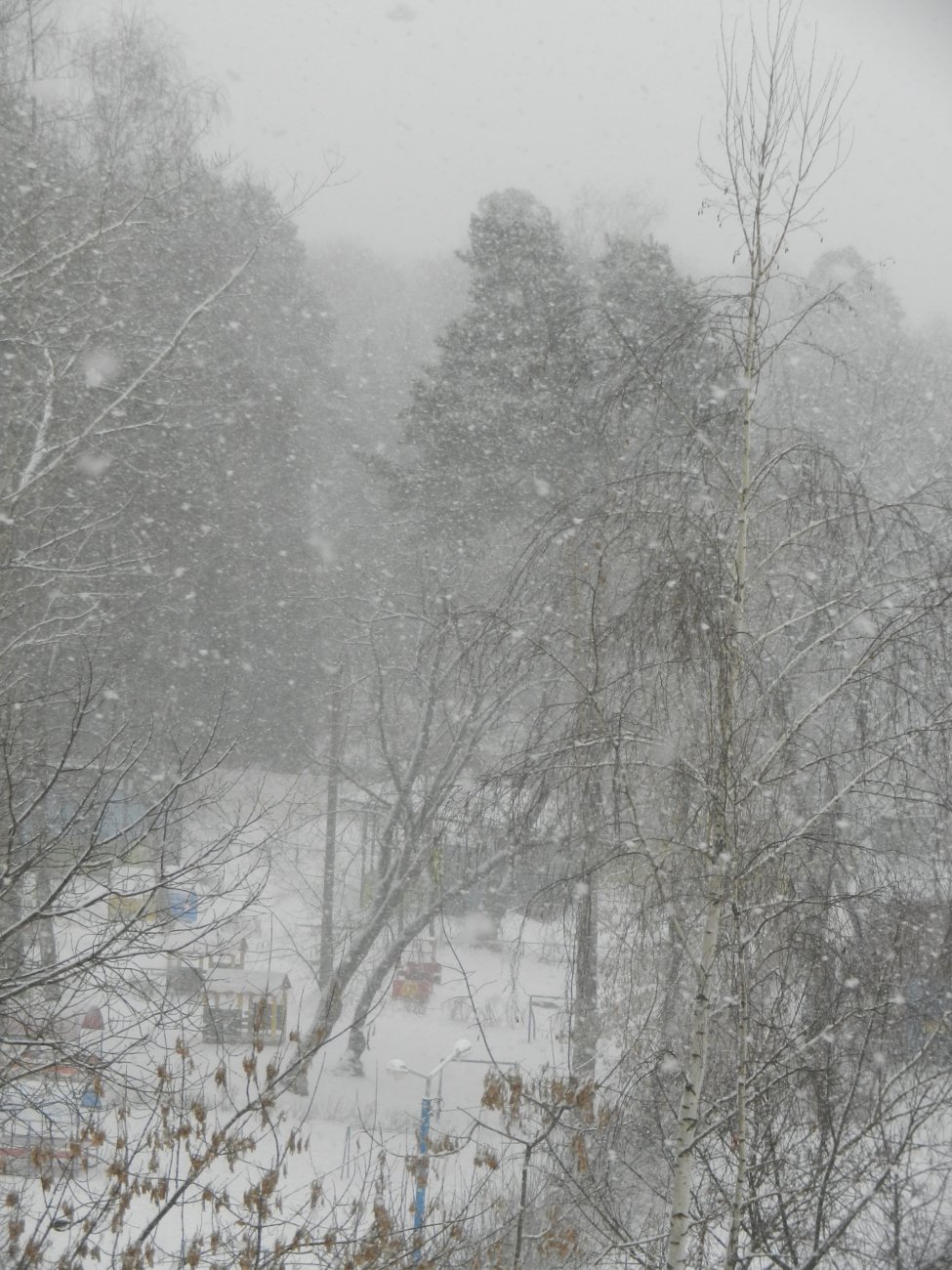 DSCN9877.JPG