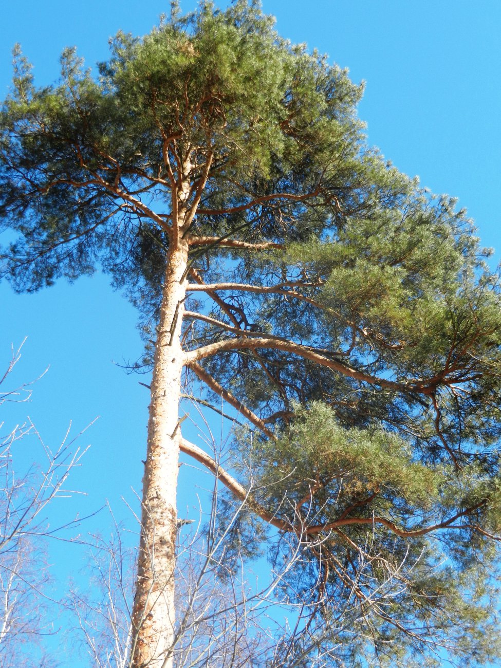 DSCN9886.JPG