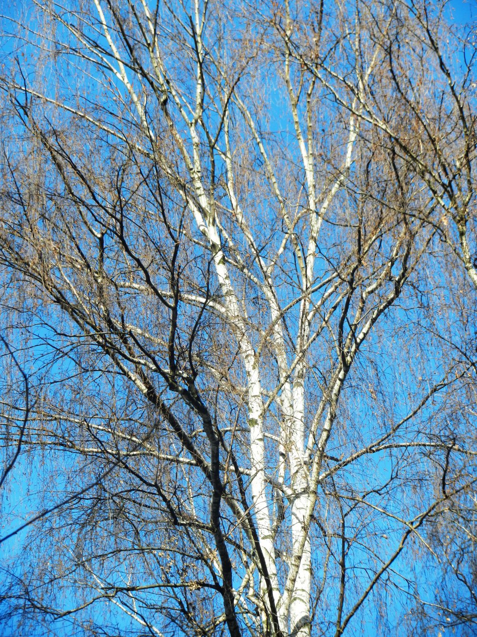 DSCN9890.JPG