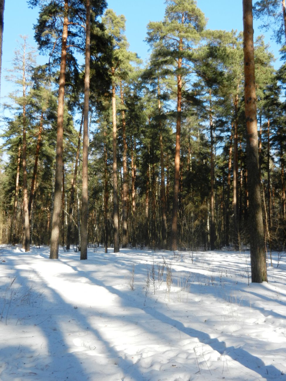 DSCN9892.JPG
