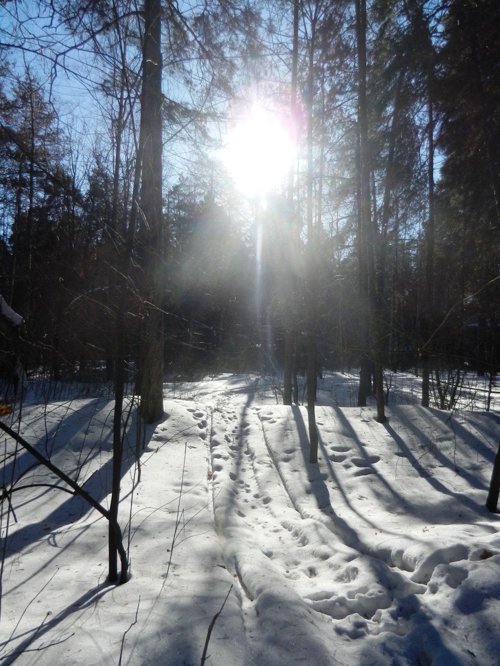 DSCN9893.JPG