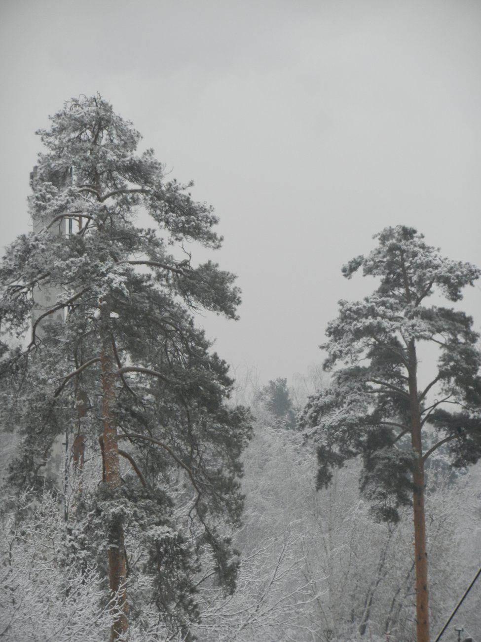 DSCN9951.JPG