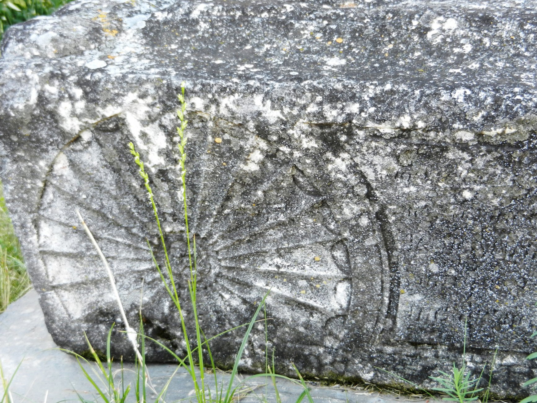 DSCN9967.JPG