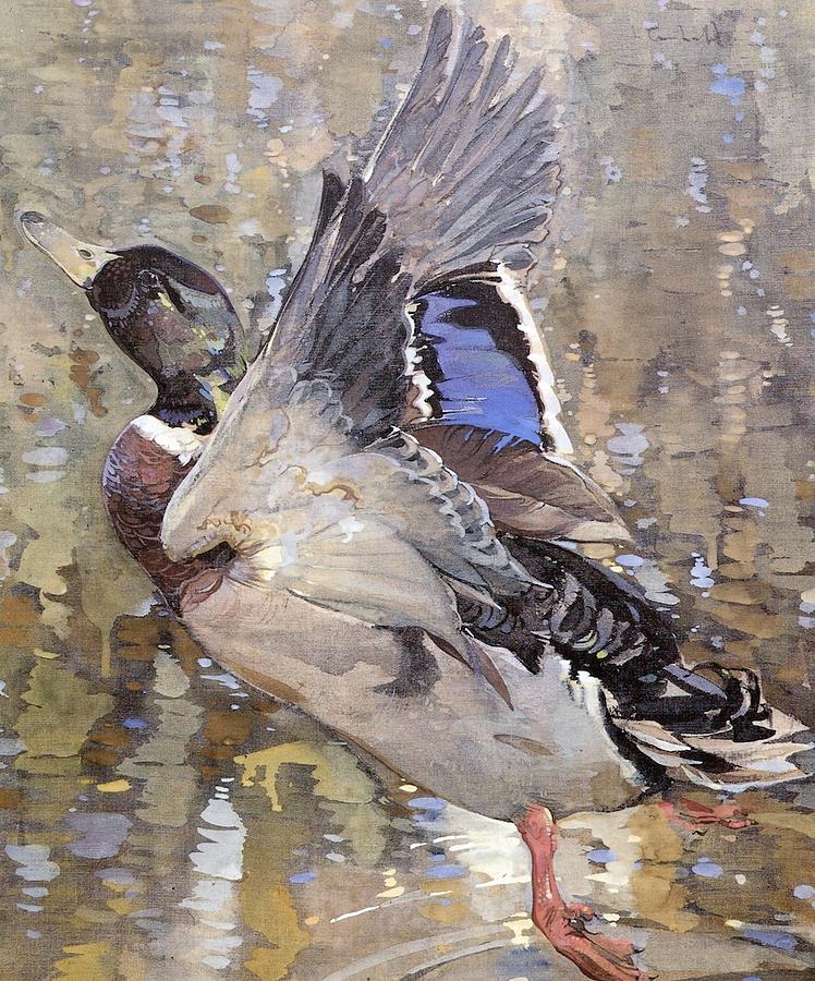 duck-joseph-crawhall.jpg