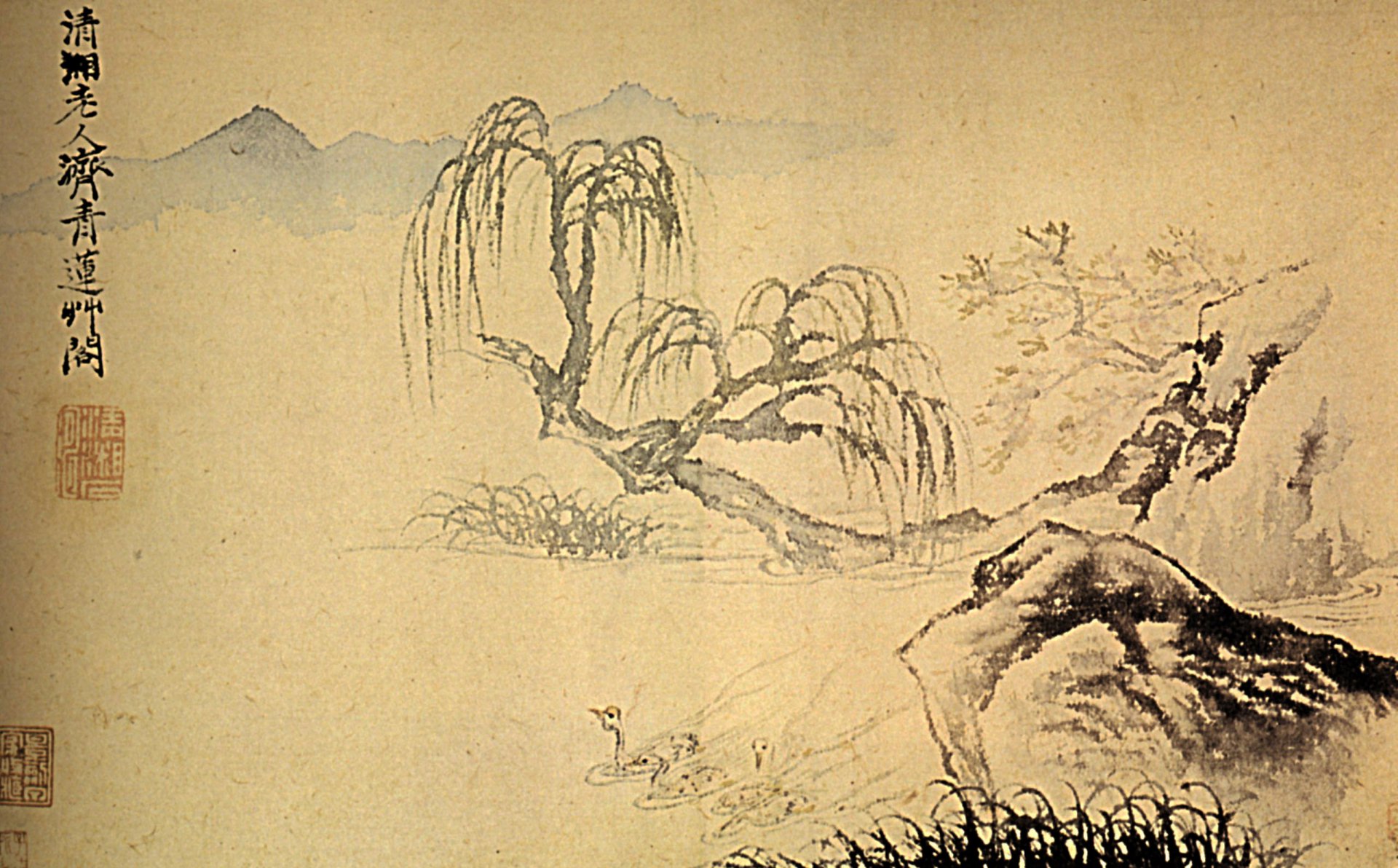 ducks-on-the-river-1699.jpg
