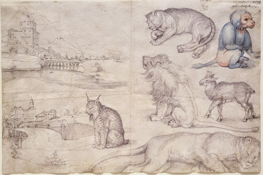 durer-animals.jpg