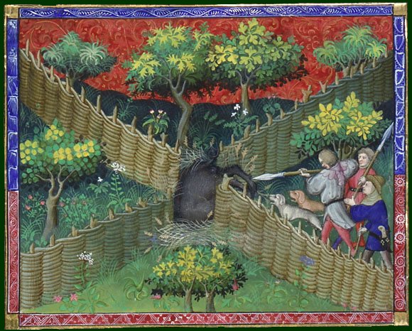 e 616, f 105v sangliers.jpg