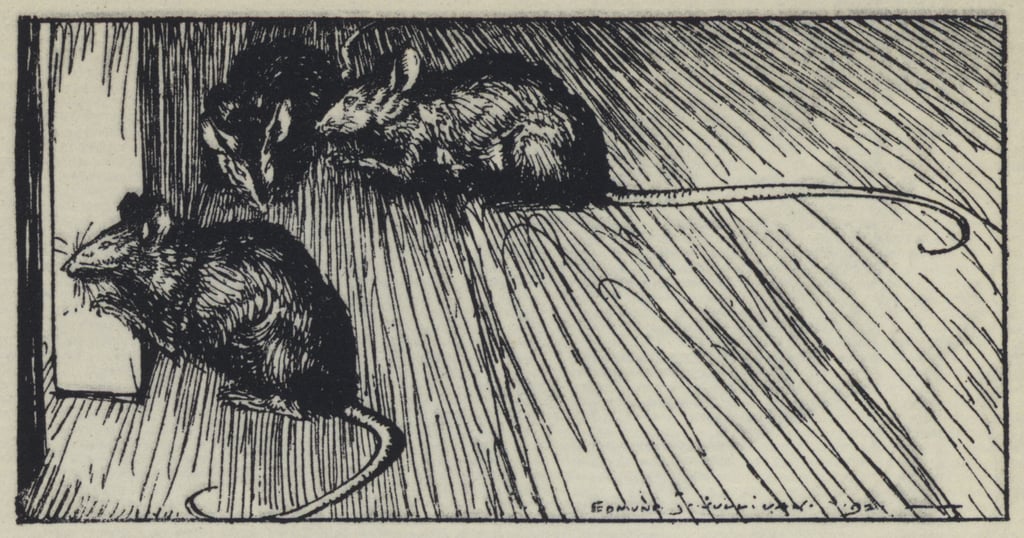 Edmund_Joseph_after_Sullivan_-_Illustration_for_Tennysons_Maud_-_(MeisterDrucke-667612).jpg