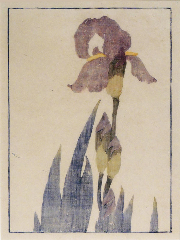 Edna-Boies-Hopkins-IRIS-color-woodcutа.jpg