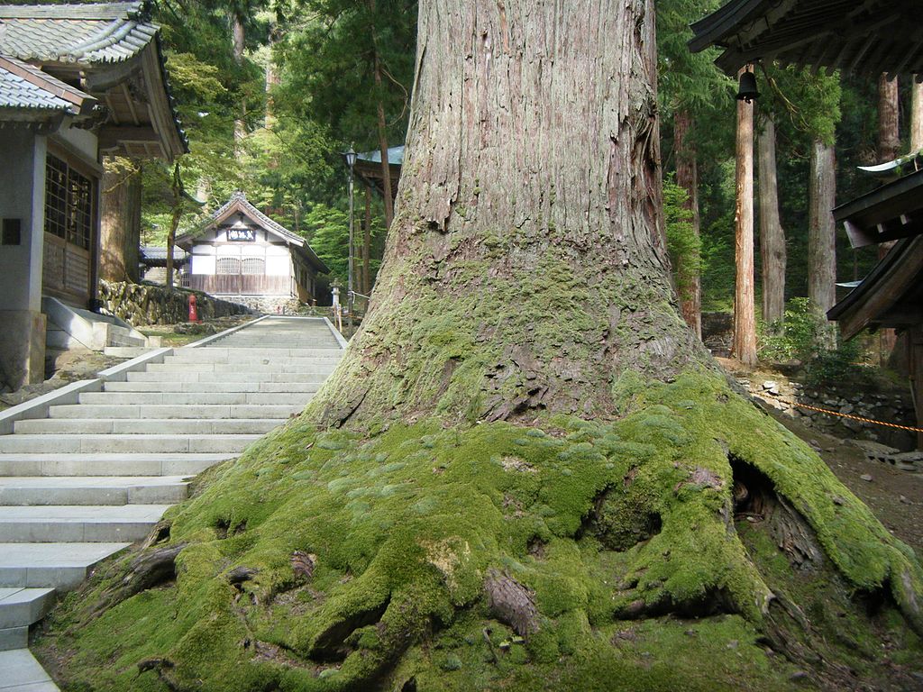 Eiheiji_2010_15.jpg