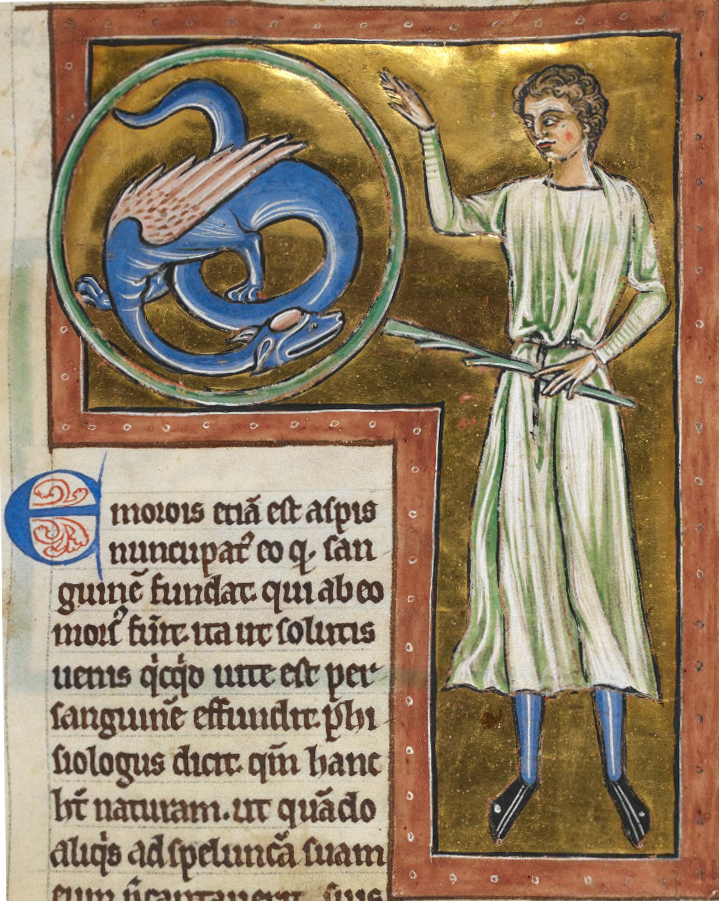 Emorroris_royal_MS12.jpg