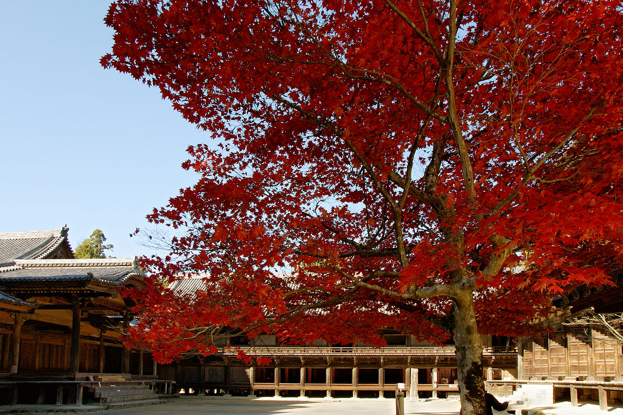 Engyoji45n4592.jpg