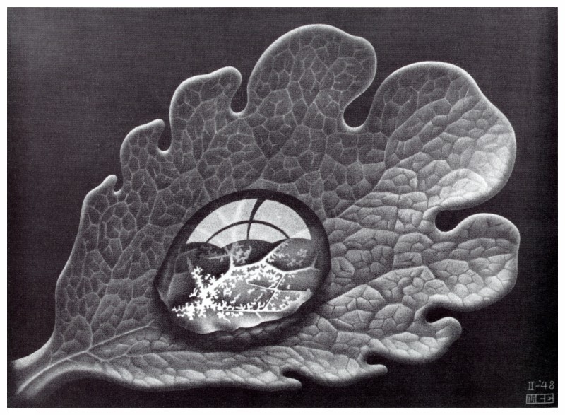 Escher-Maurits-6.jpg