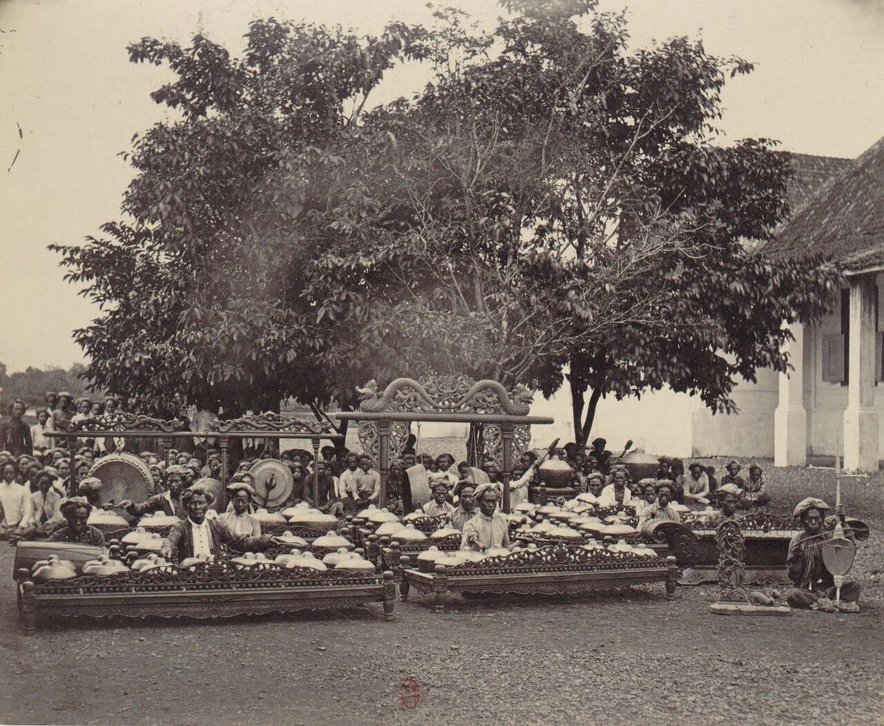 export (13).jpg