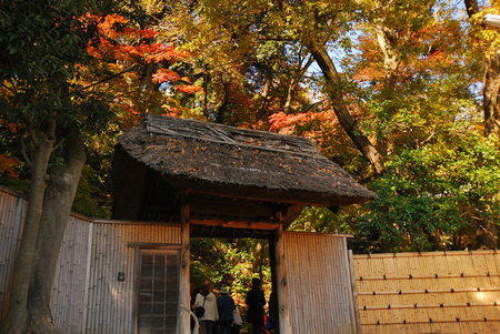 f0222533_1554388.jpg
