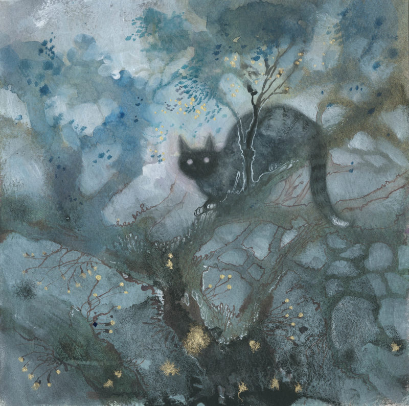 feline_3000-800x795.jpg