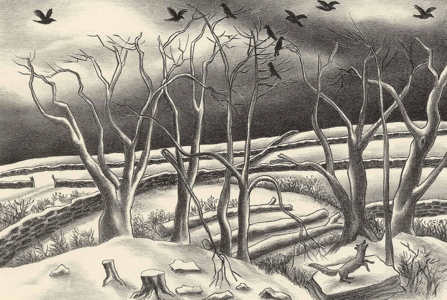 Fiene_Winter_Morning_1st_master.jpg