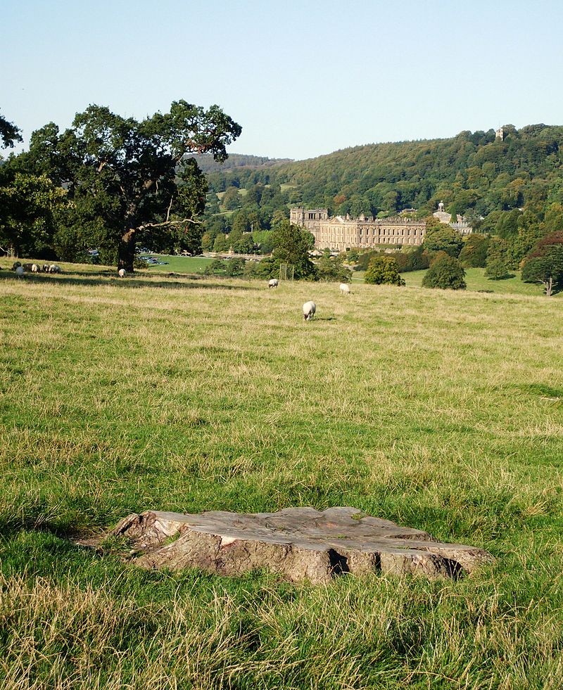 Flickr_-_Duncan__-_Chatsworth_(1).jpg