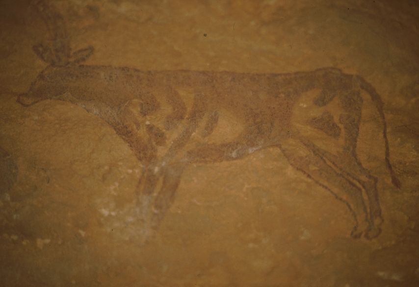 Fondazione_Passaré_V31_408.jpg