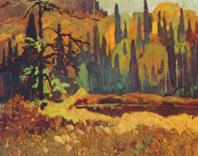 Frank-H-Johnston-Moose-Pond-1918.jpg