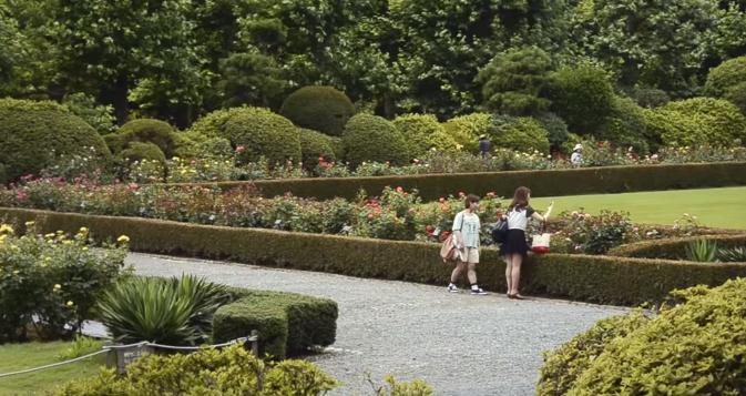 frenchgarden2.jpeg