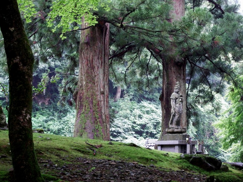 fukui-eiheiji-temple-of-eternal-peace-83440.jpg