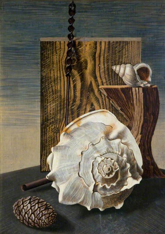 gasteropoda-1927(1).jpg
