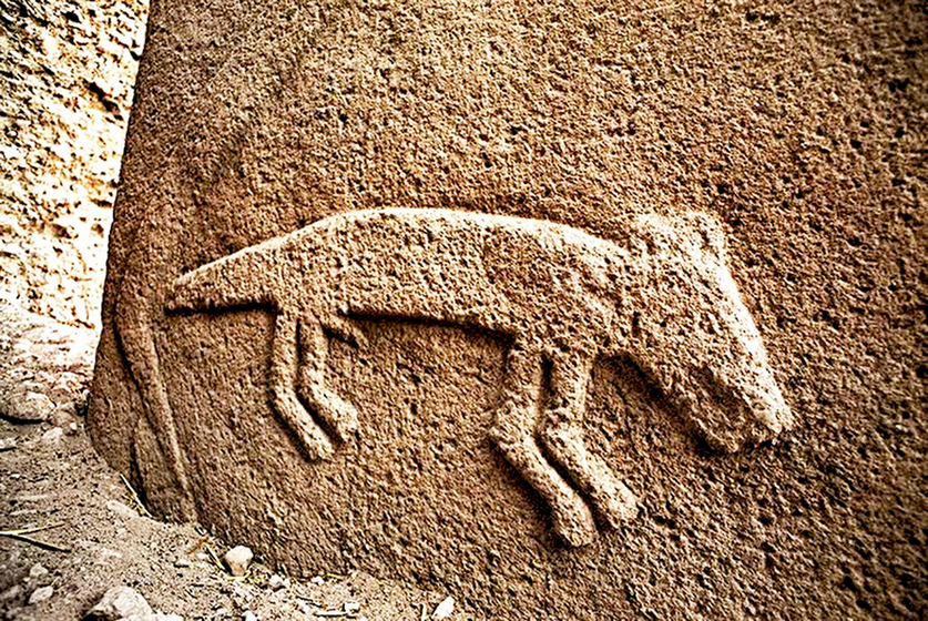 Gebekli-Tepe-samoe-staroe-sooruzhenie-v-mire-30.jpg