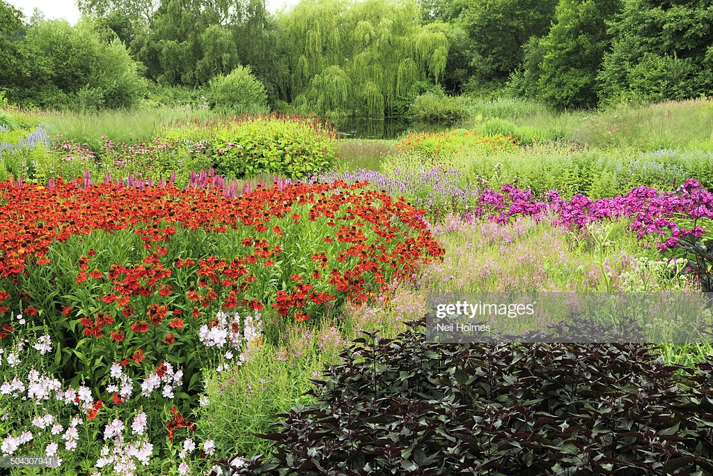 gettyimages-504307941-1024x1024.jpg