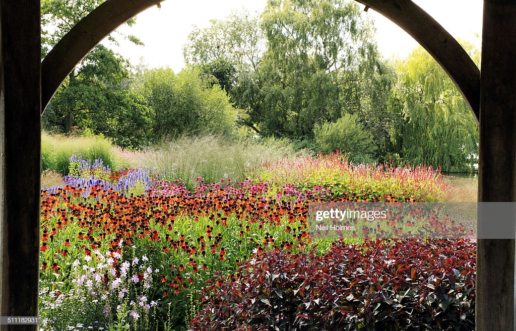 gettyimages-511182931-1024x1024.jpg
