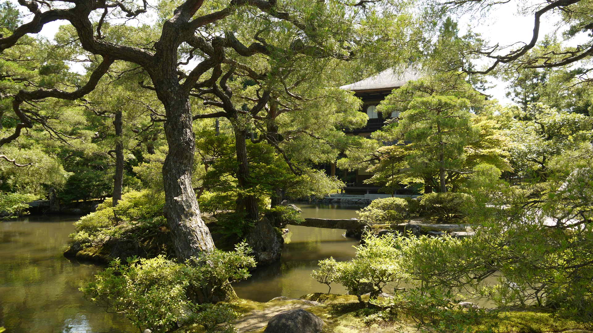 Ginkaku-ji_Temple_慈照寺（銀閣寺）3_-_panoramio.jpg