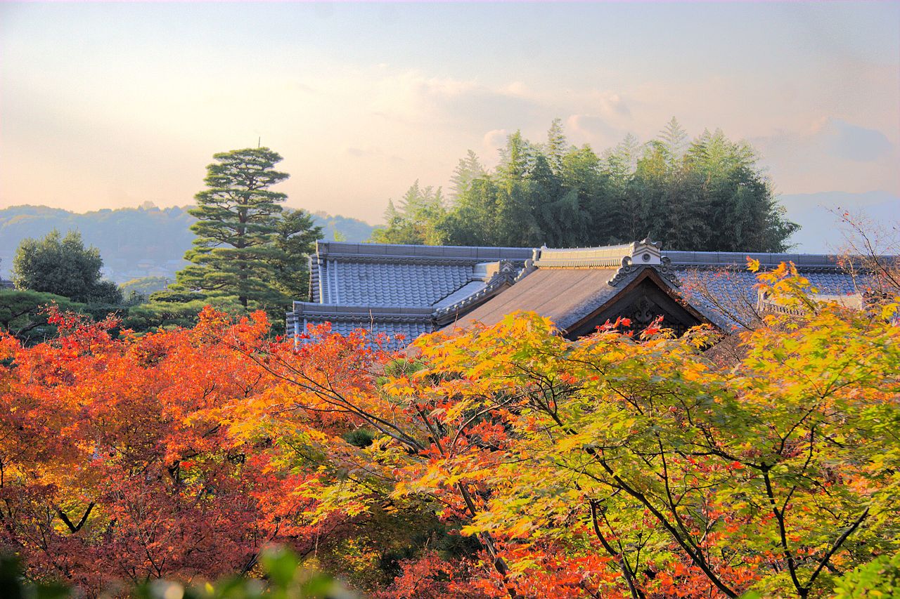 Ginkakuji_2008-11-21_(3108527312).jpg