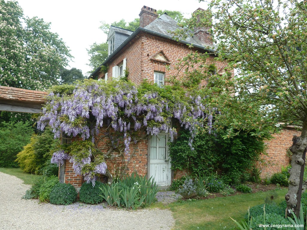 glycines-maison-brique.jpg