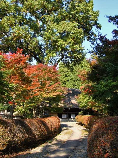 H0000131873.jpg