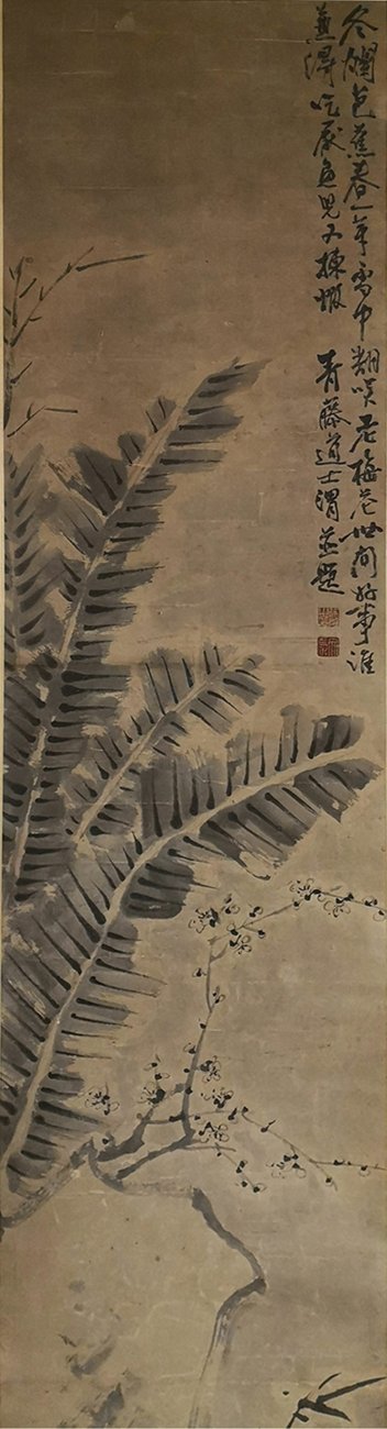 H20206-L162311736.jpg