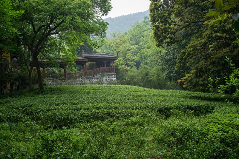 Hangzhou_04.jpg