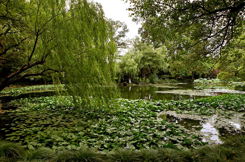 Hangzhou_28.jpg