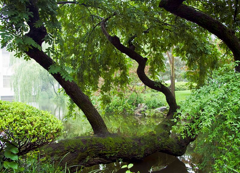 Hangzhou_44.jpg