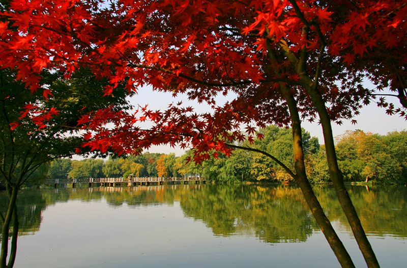 Hangzhou_45.jpg