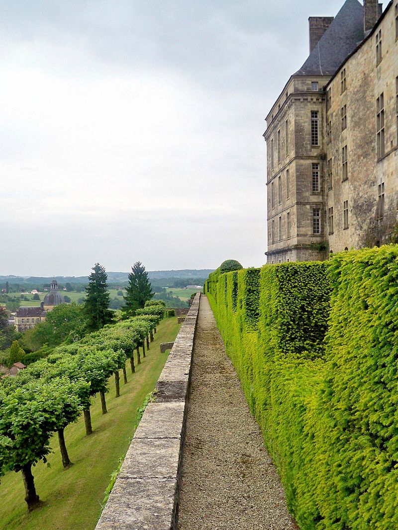 Hautefort_vineyard.jpg