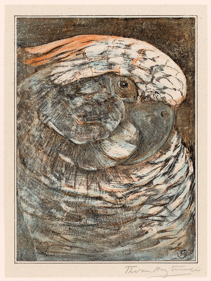 head-of-a-parrot-theo-van-hoytema.jpg