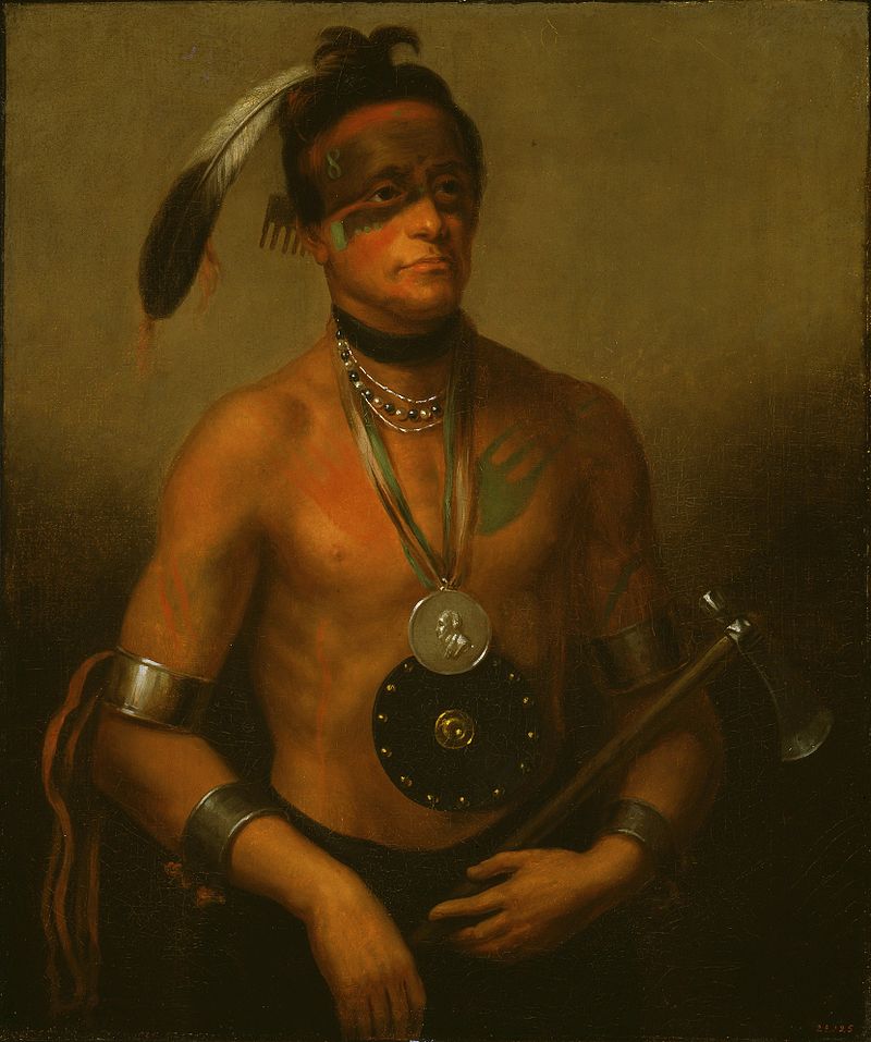 Henry_Inman_-_Portrait_of_Hoo-Wan-Ne-Ka.jpg