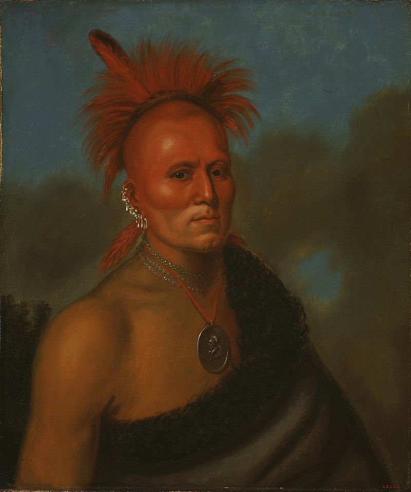 Henry_Inman_-_Portrait_of_Shar-I-Tar-Ish.jpg