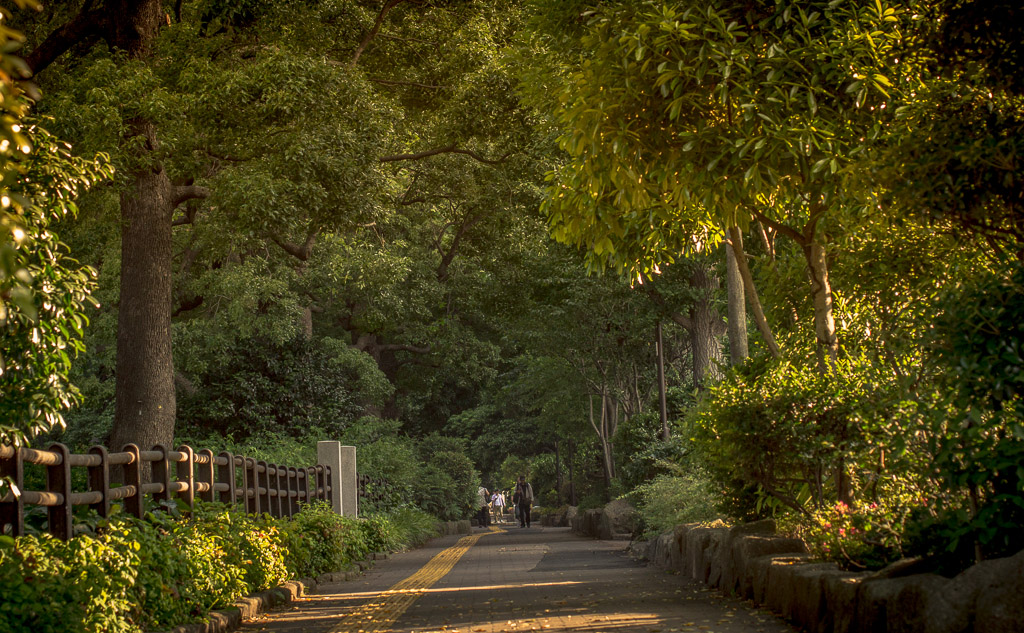 Hibiya-Park_001_Into-the-Heart-of-Hibiya-Park.jpg