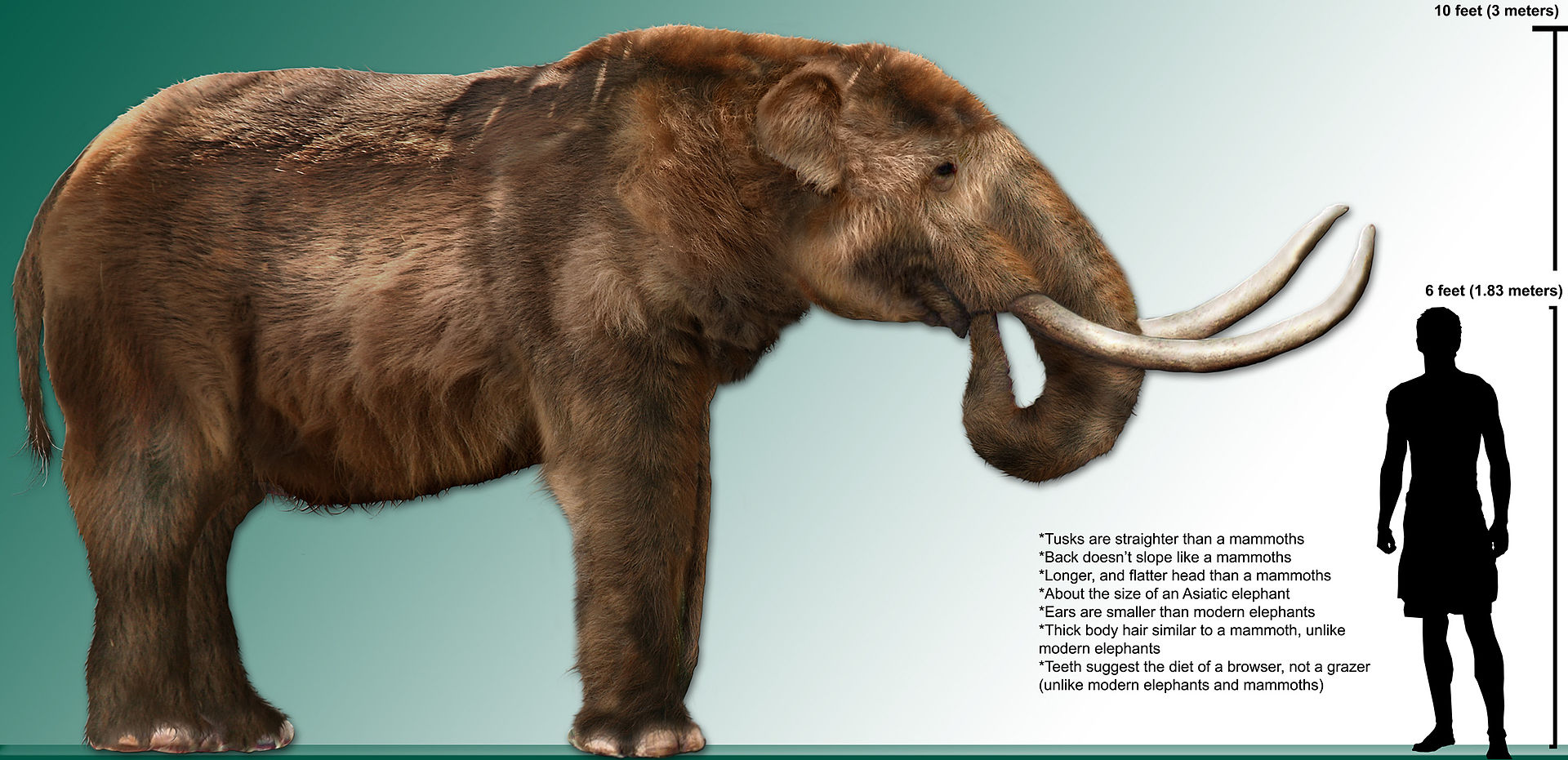 High_res_mastodon_rendering.jpg