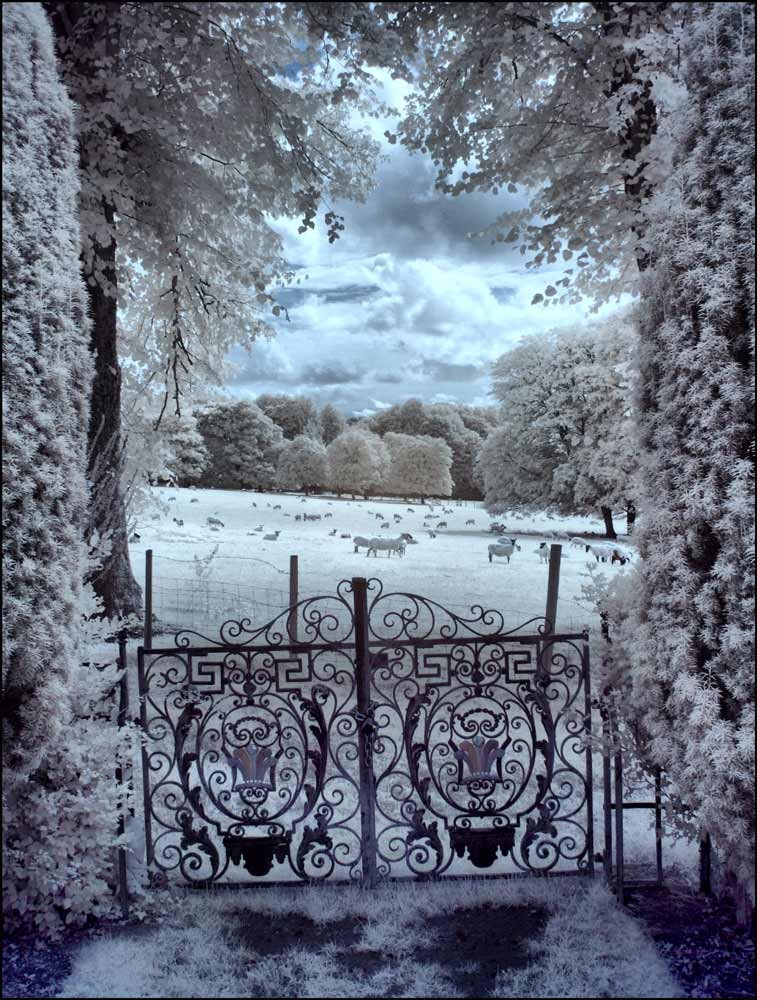 hintonampnergardens8.jpg