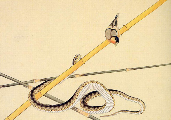 hokusai-katsushika--schlange-und-voeglein-789677.jpg